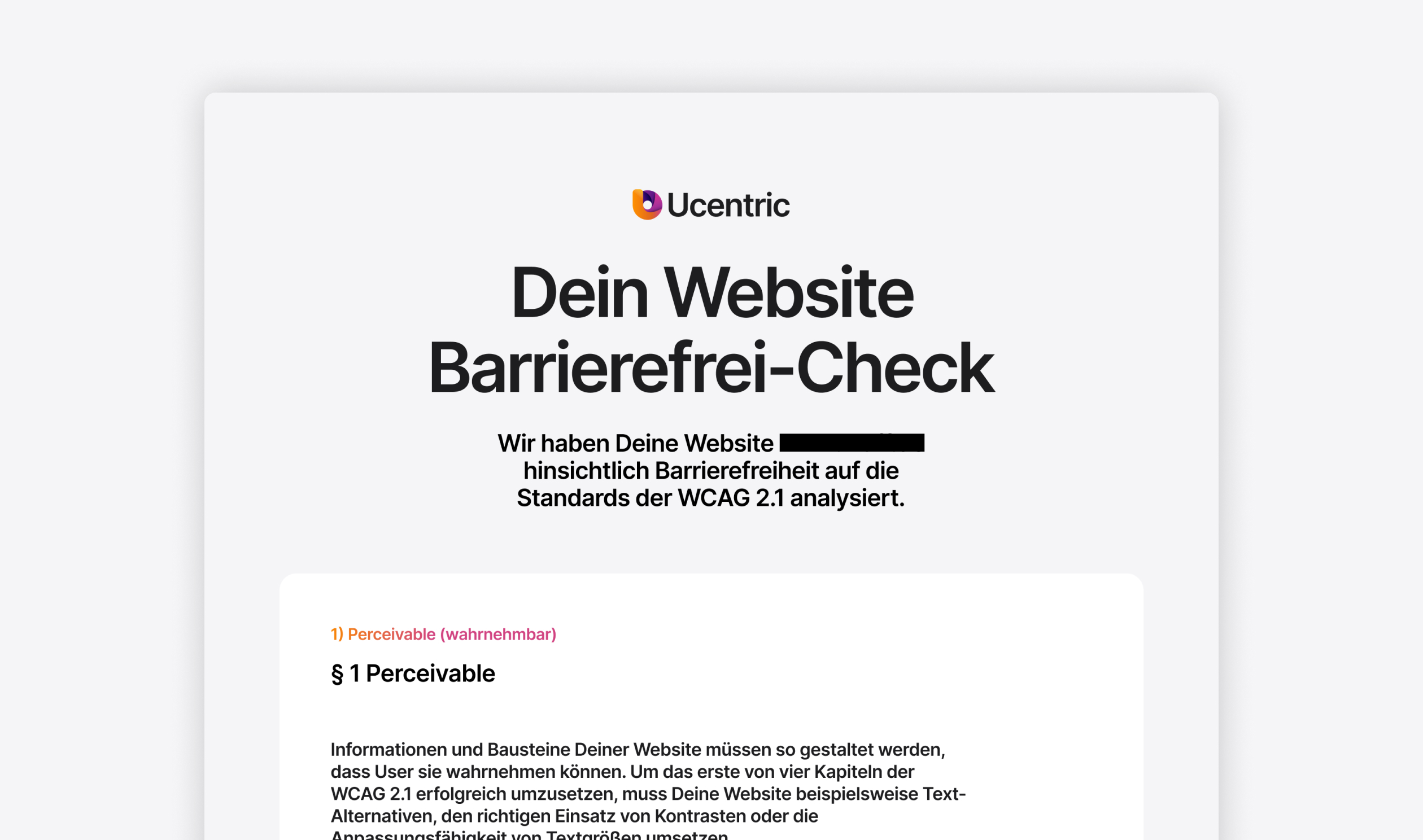 Website Barrierefrei Test PDF